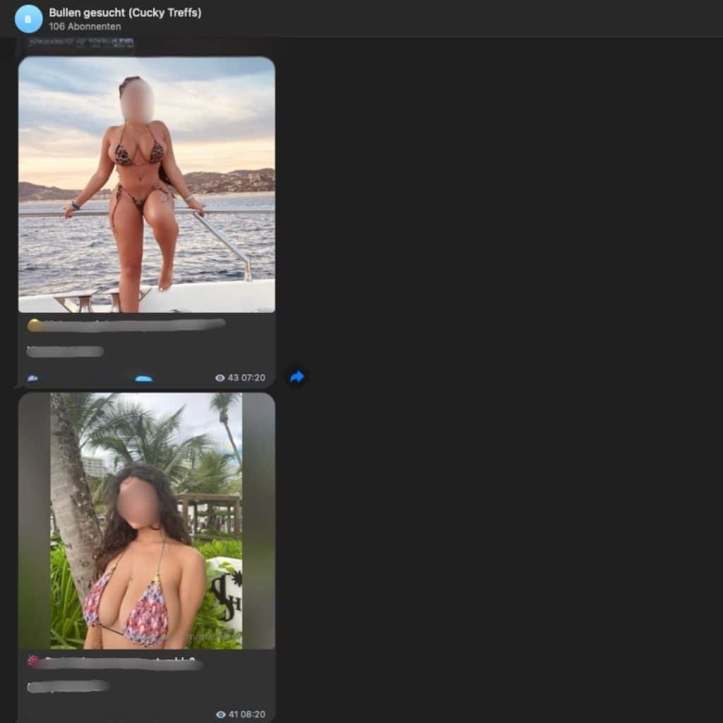 Dieser Screenshot zeigt typische Nachrichten in der Gruppe "Bull gesucht"