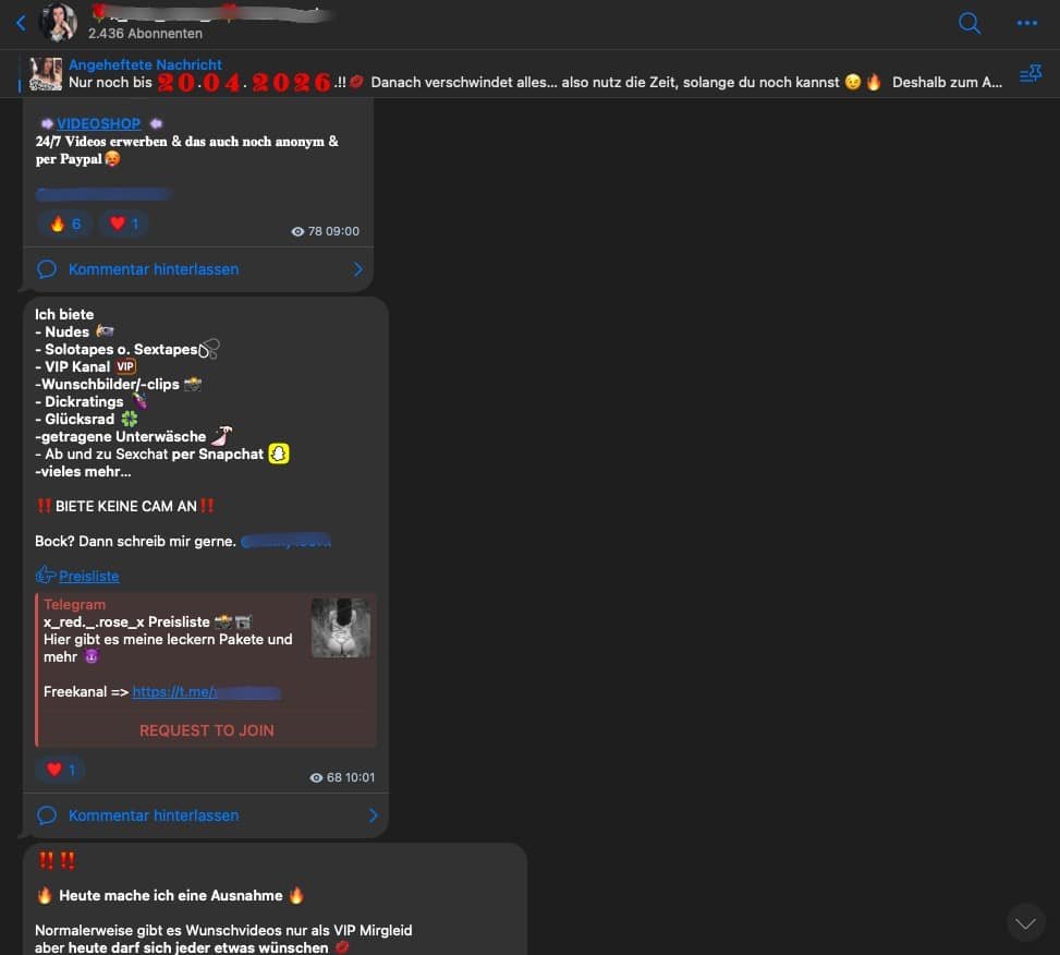 Der Screenshot zeigt das klassische Angebot vom Verkaufsdamen Telegram Scam aus meinem Selbstversuch